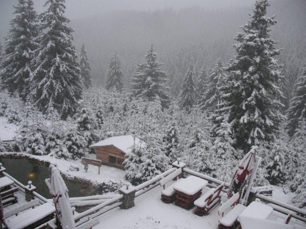 ANM a anuntat ninsori si lapovita in zonele montane
