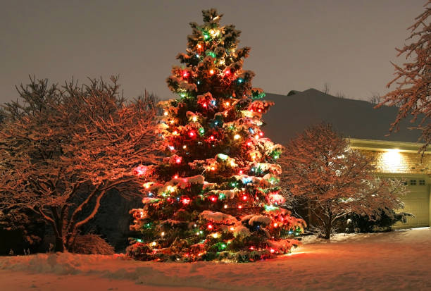De ce împodobim bradul de Crăciun. Toţi românii îl au în casă, dar prea puţini ştiu care e motivul, de fapt
