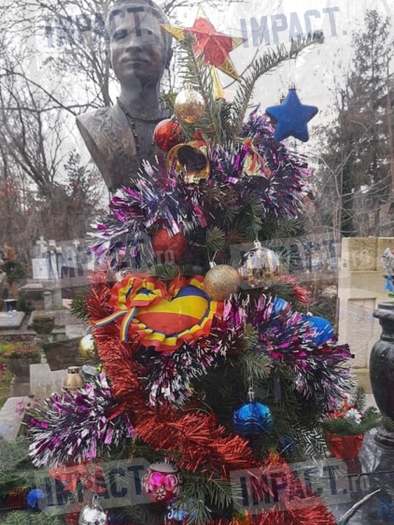 Galerie foto - Poza #3