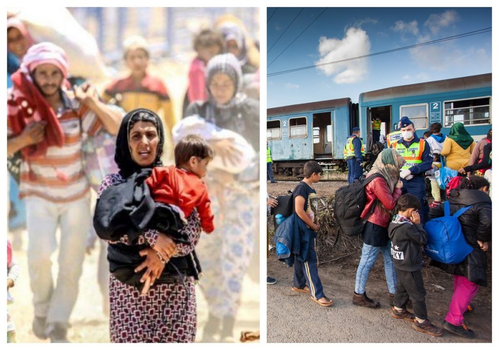 Migrația din Orient, pisica băgată la coteț de valul 5 al pandemiei