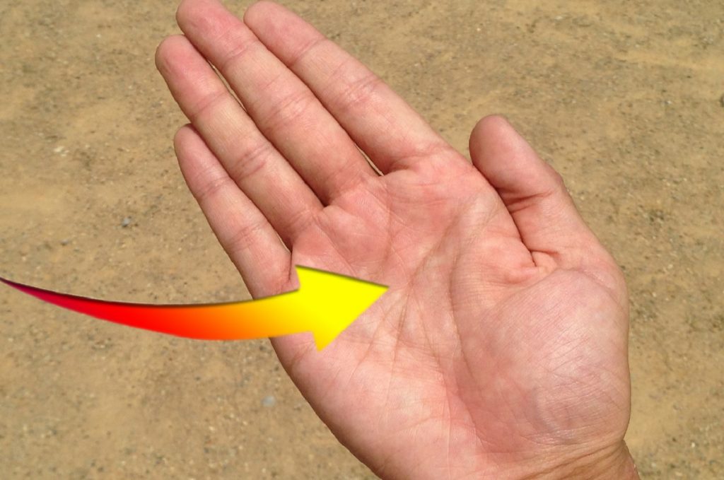 Cum poţi afla ce personalitate ai în funcţie de linia inimii din palmă