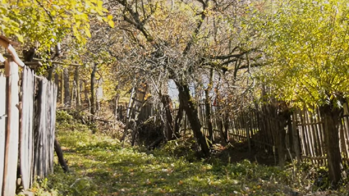 Satul din România care mai are doar 8 locuitori. E izolat total de lume, fără curent, fără drumuri sau magazine