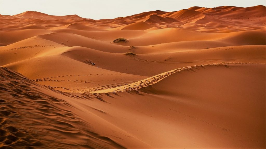 A nins din nou în deșertul Sahara. Imagini spectaculoase cu gheața care acoperă dunele de nisip într-un fenomen meteo rar VIDEO