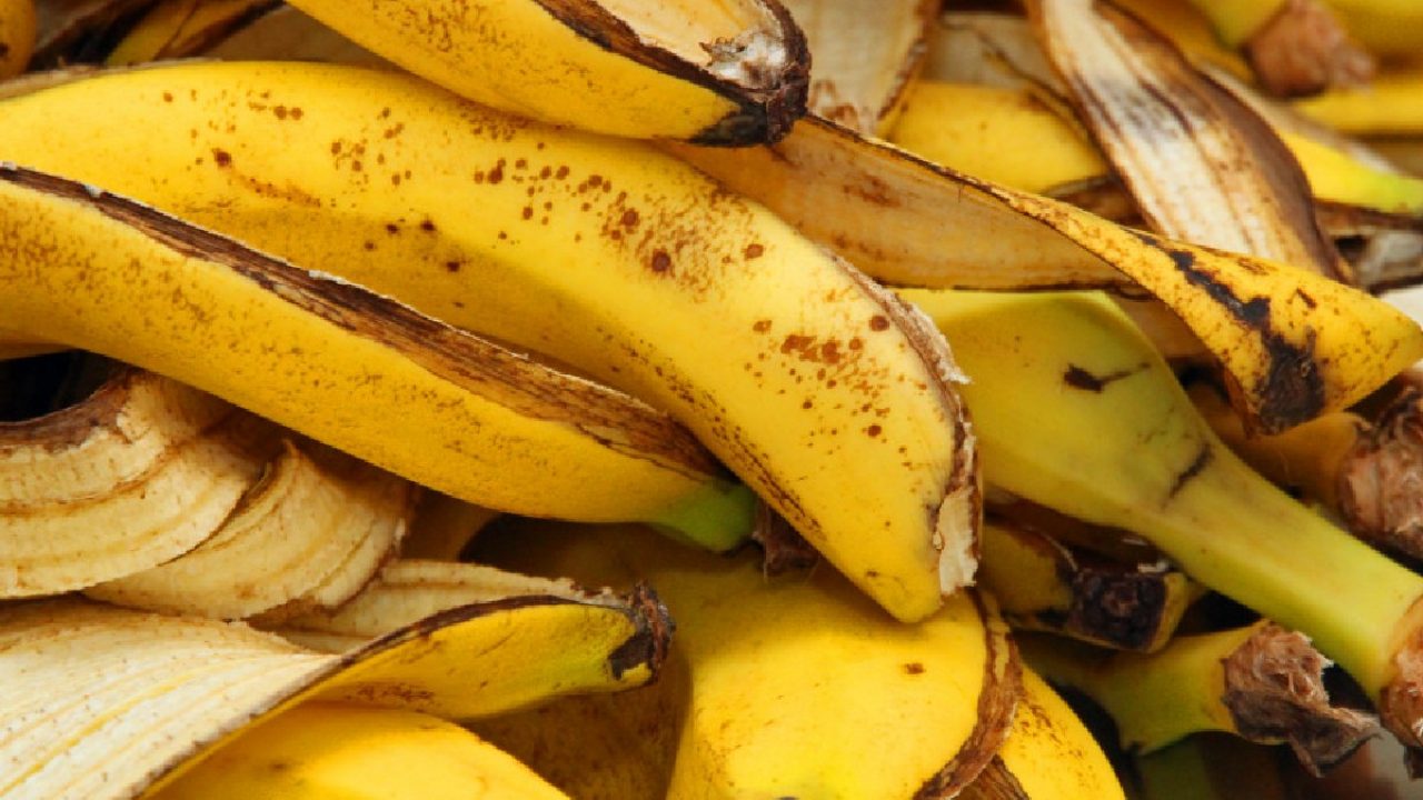 Coji de banana