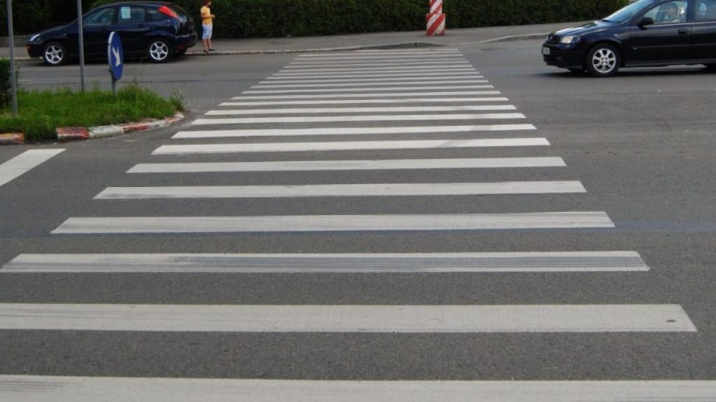 Imagini savuroase oferite de un câine pe trecerea de pietoni. Patrupedul ne învață cum se traversează corect strada