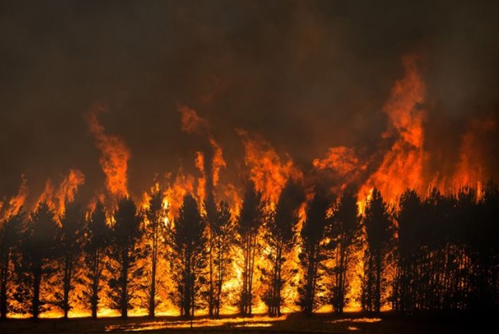 Lovitura grea primită de SUA în 2021. Fenomenul natural care i-a costat 145 de miliarde de dolari