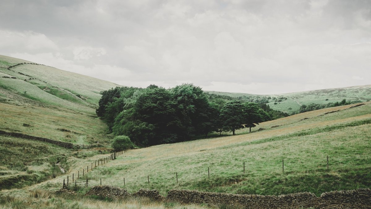 O comuna din Romania ascunde o adevarata comoara