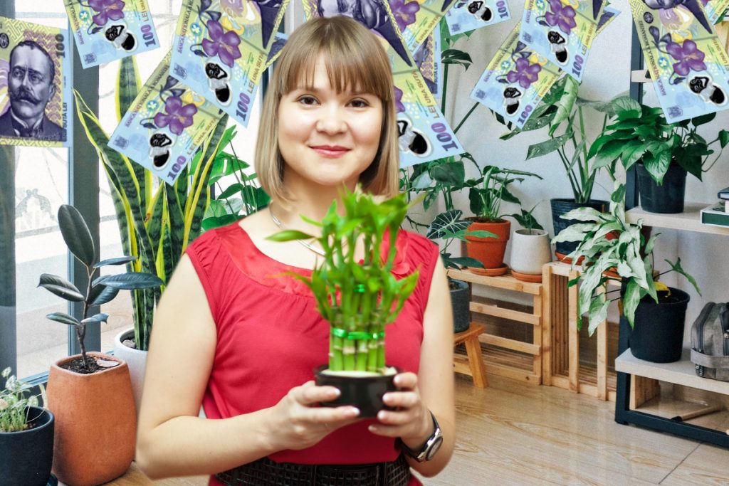 Planta de apartament care atrage banii. Aşa vei avea mereu belşug în casă