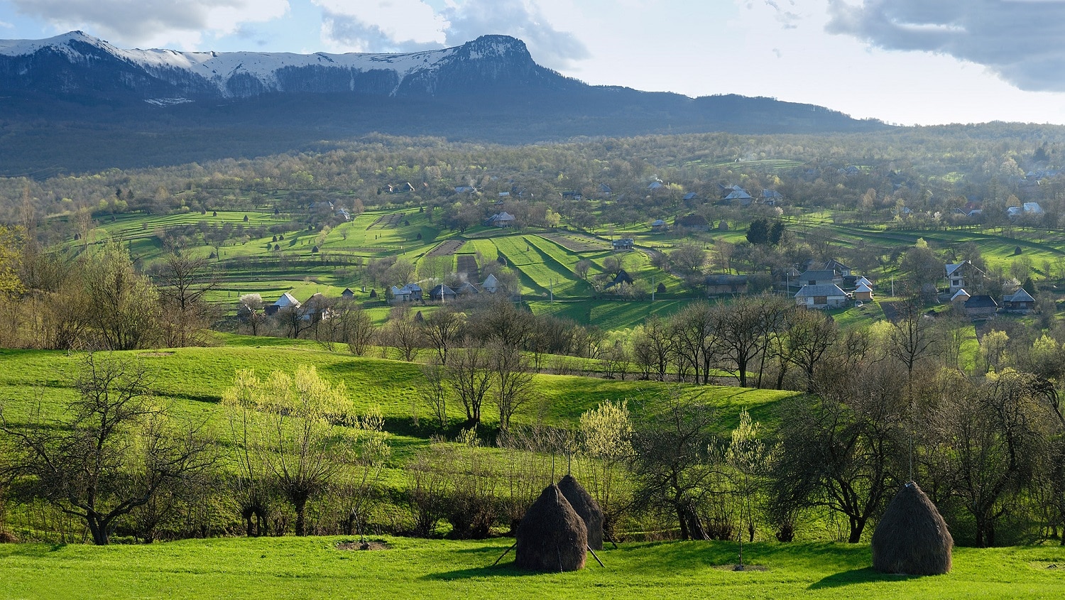 Satul din Maramureș unde s-au mutat cei mai mulți străini. Un viitor rege l-a ajutat cu 5.000 de lire