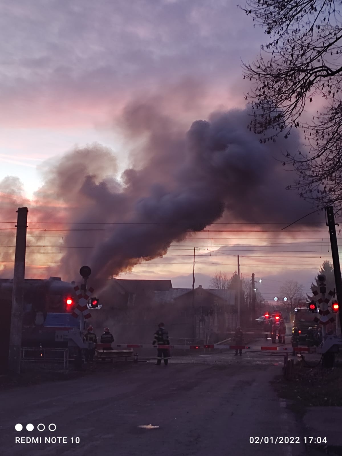 Galerie foto - Poza #2