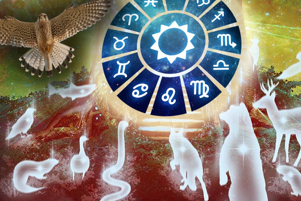 Ce animal spiritual ţi se potriveşte în funcţie de zodie. Cine e Şoim sau Cerb