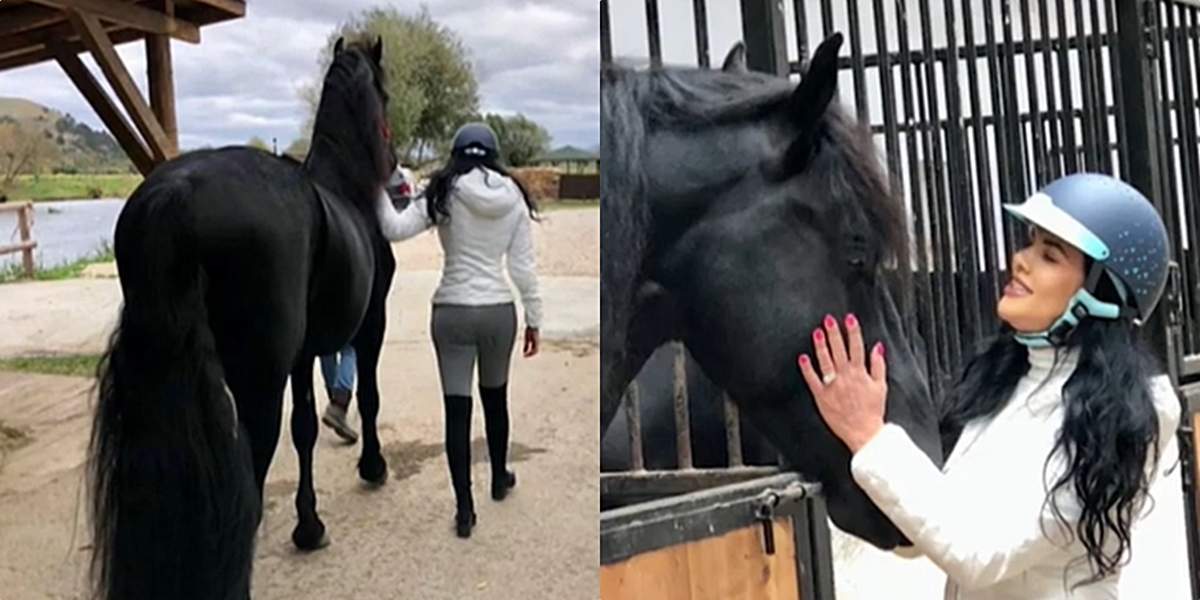 Galerie foto - Poza #1