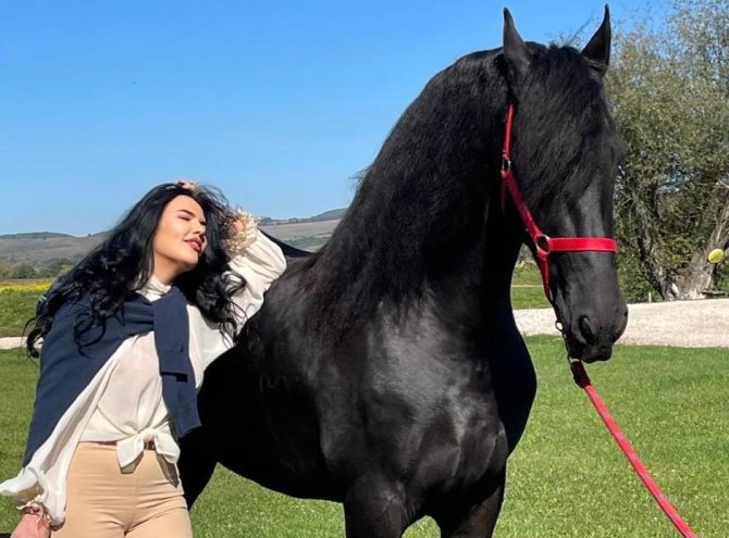 Galerie foto - Poza #2