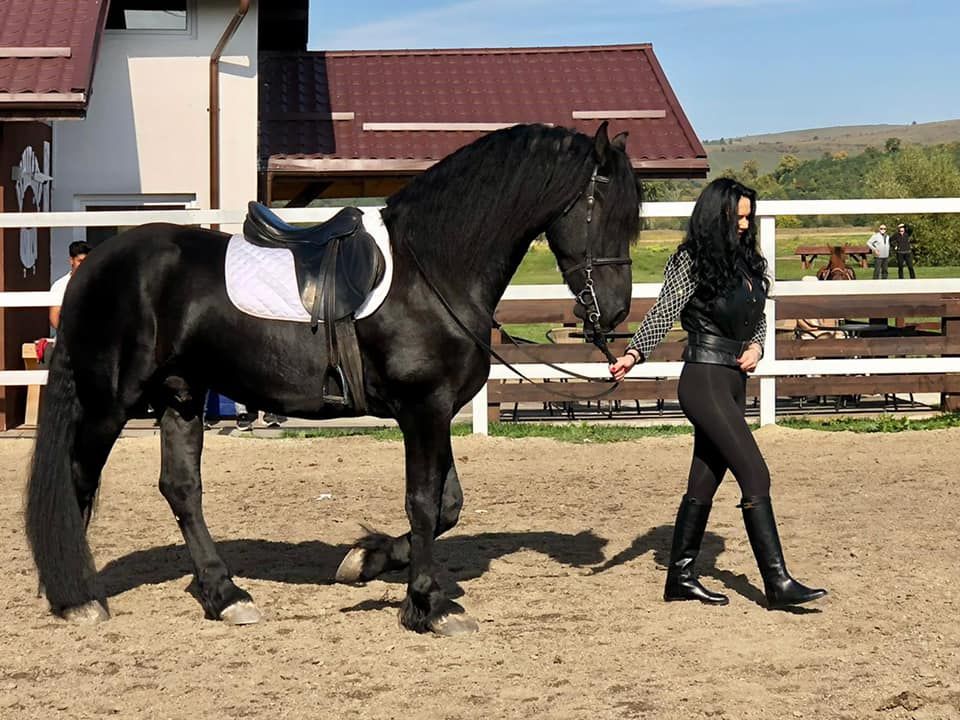 Cum vrea sa faca bani sotia lui Ilie Nastase