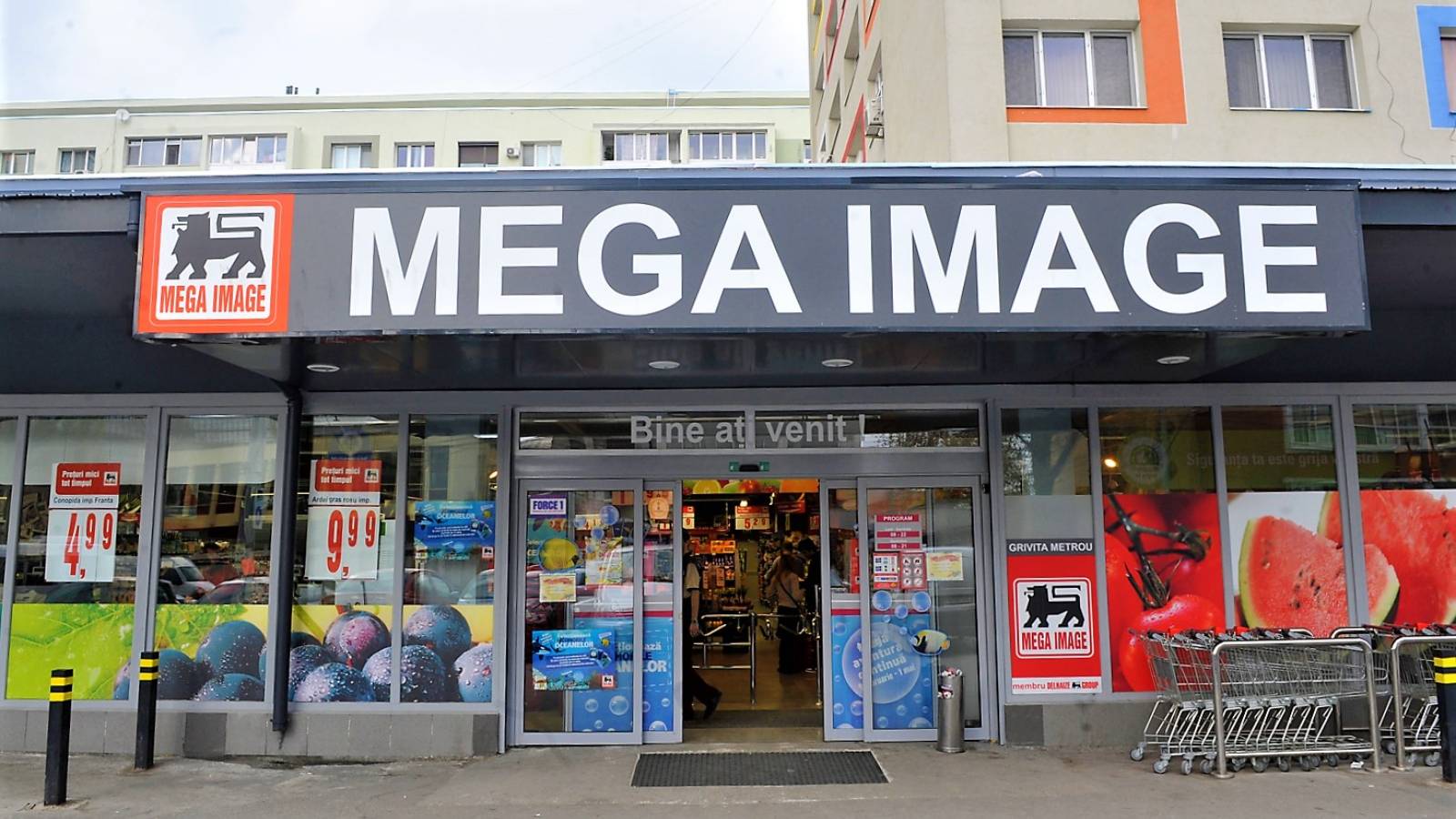 Lidl si Mega Image au dat-o in bara, iar inspectorii ANPC nu au avut mila