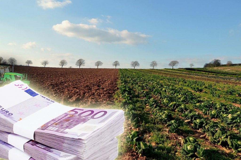 Meseria din România în care se câștigă 7.000 de lei lunar net. Se lucrează pe câmp și nu vine nimeni să se angajeze