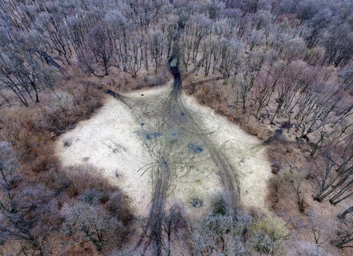 Pădurea din România care i-a speriat pe britanici. Au pus-o în topul celor mai înfricoșătoare locuri din Europa, ce se întâmplă aici