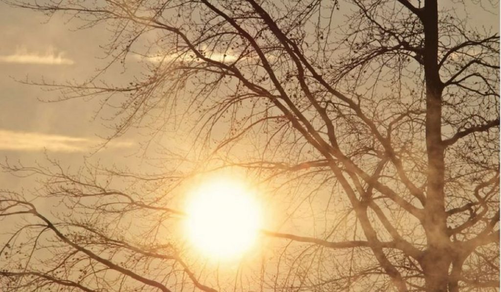 Cum va fi vremea în următoarele două săptămâni. Prognoza meteo până pe 20 februarie, plină de surprize