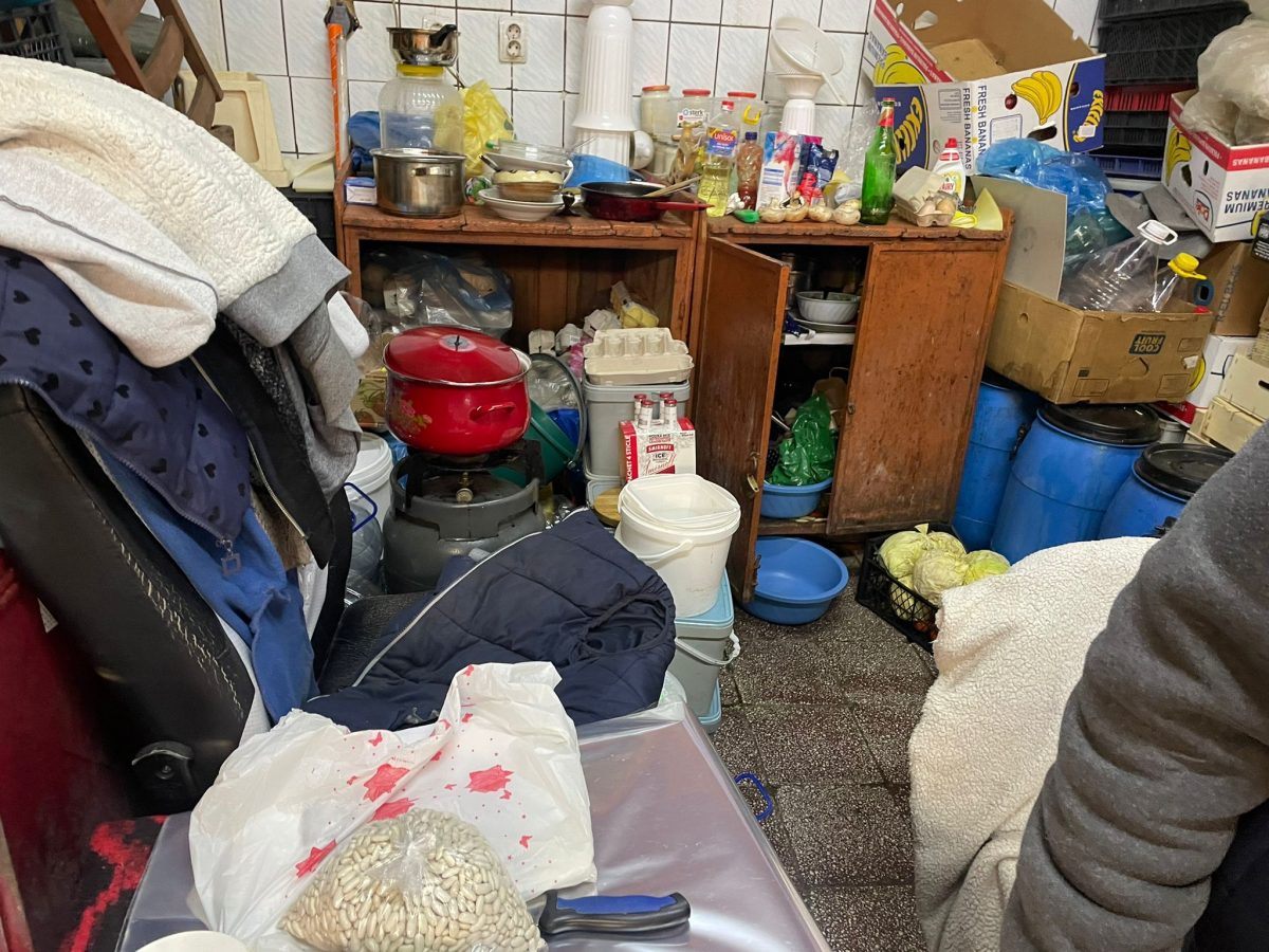 Galerie foto - Poza #1