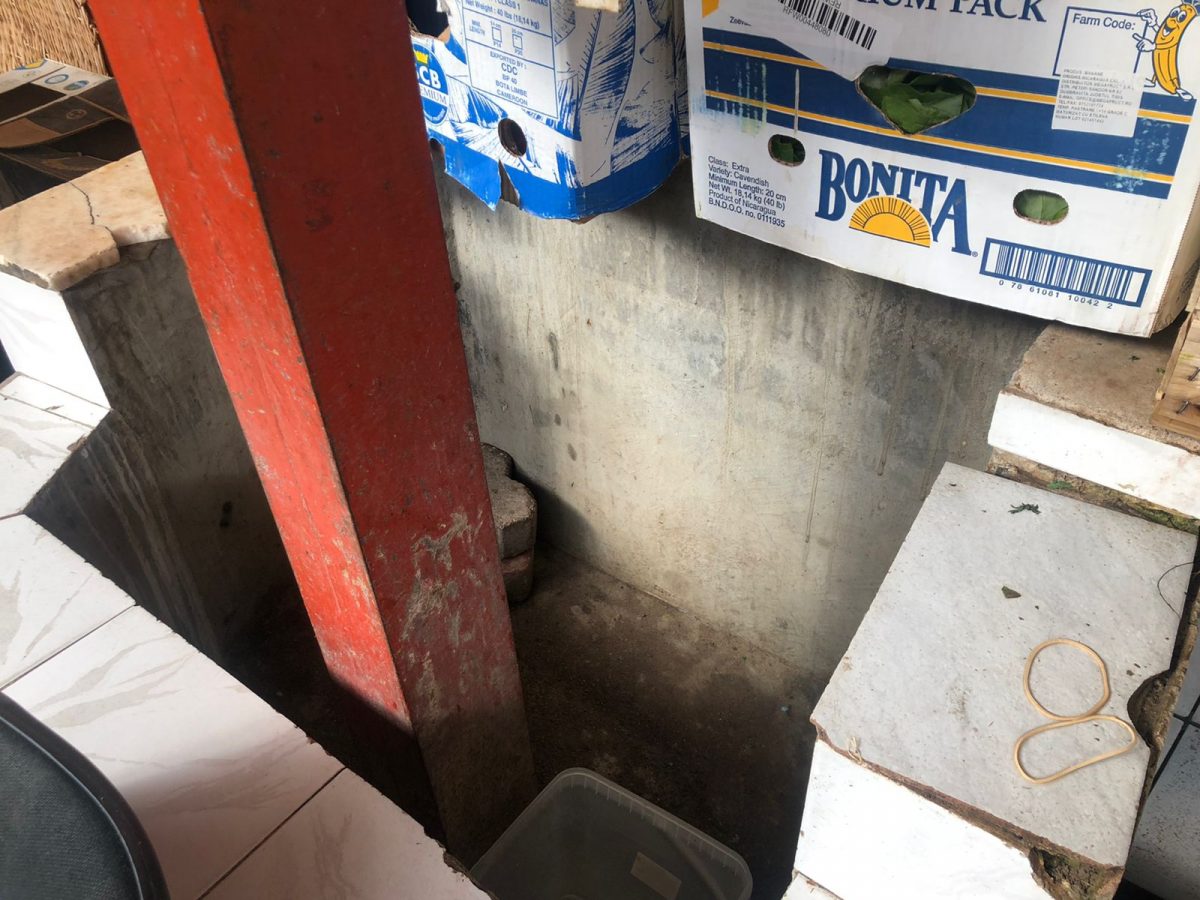 Galerie foto - Poza #3