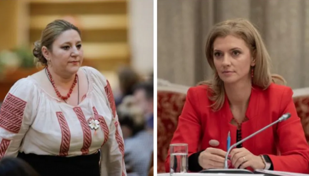 Diana Sosoaca si Alina Gorghiu, replici dure in Plenul Senatului