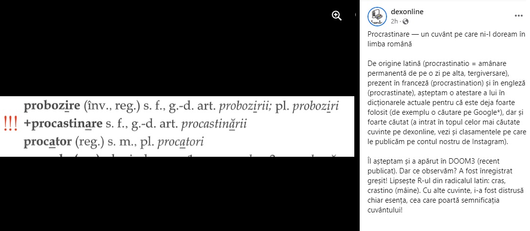 Galerie foto - Poza #1