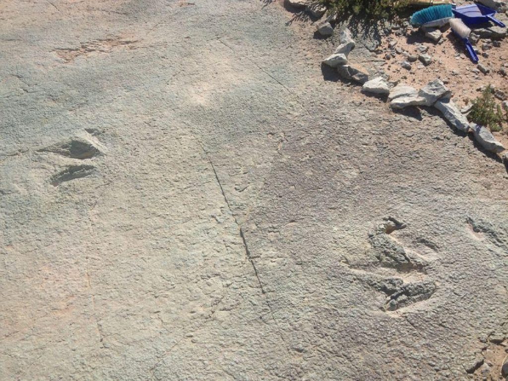 Comoara inestimabilă pe care a distrus-o un utilaj de construcții. ”E o încurcătură birocratică”