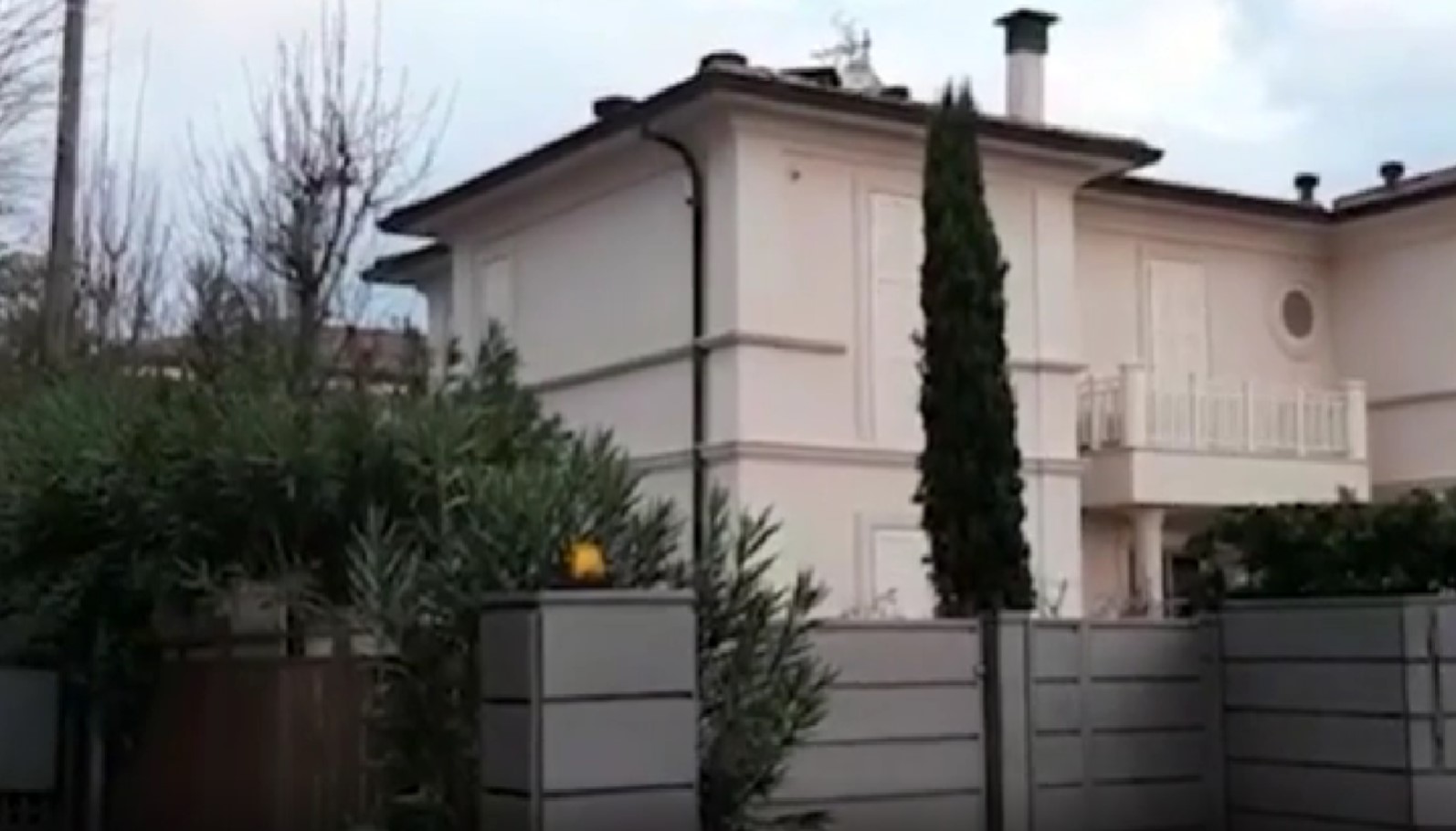 Galerie foto - Poza #3