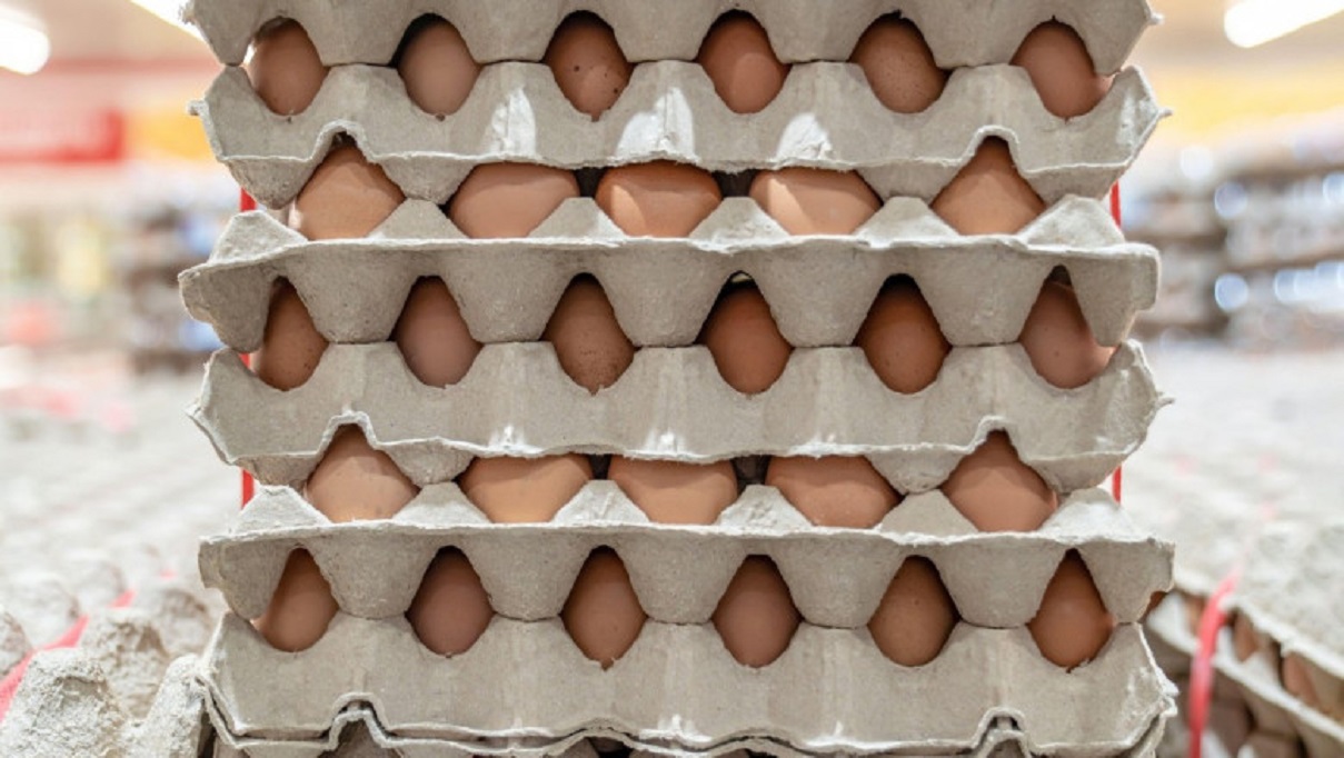 Oua cu Salmonella, retrase de la vanzare