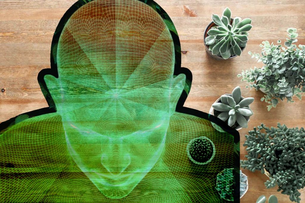 Planta de apartament care te scapă de stres. Trebuie să o ai şi tu în casă pentru o stare de bine