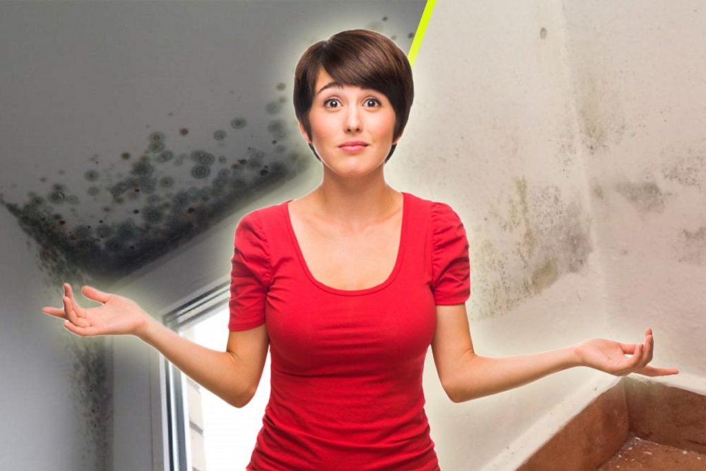 Produsul din casă care te scapă imediat de mucegai. Sigur nu l-ai băgat în seama până acum