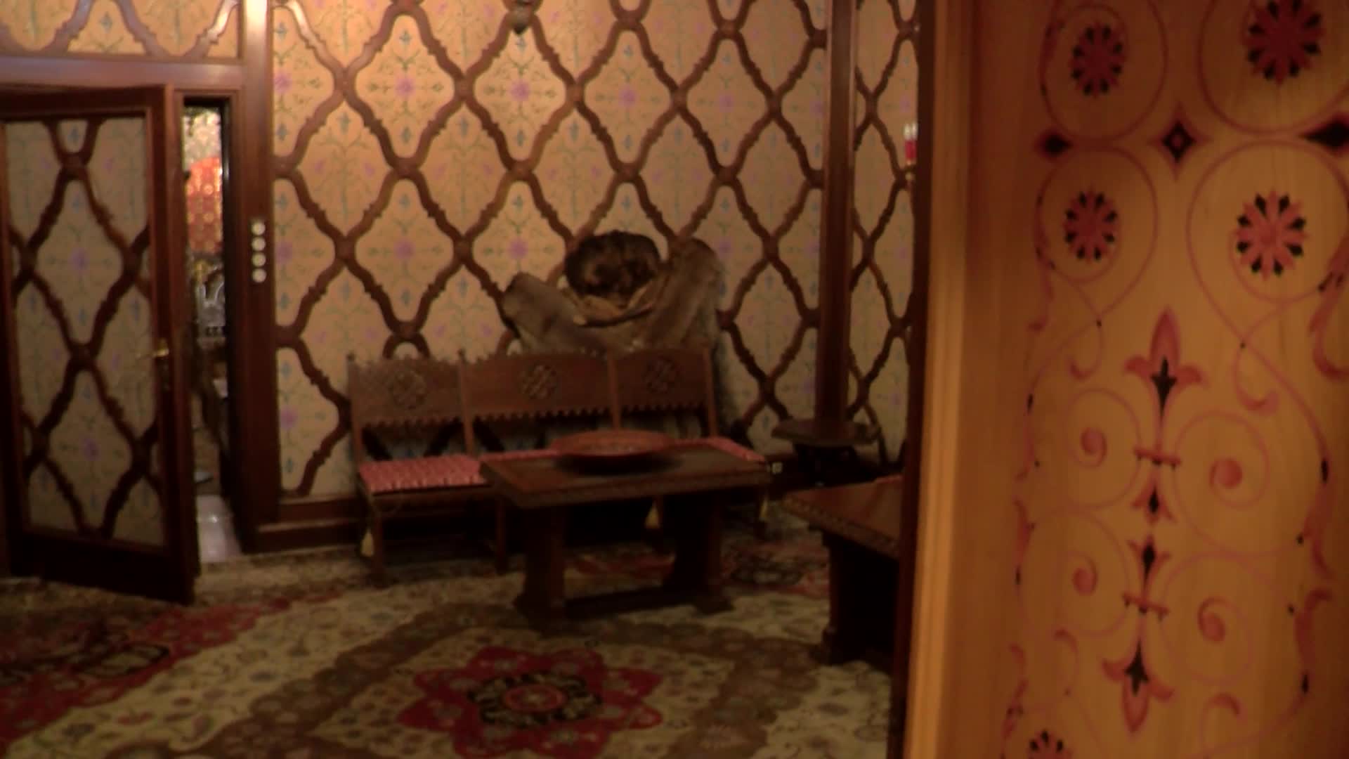 Galerie foto - Poza #2