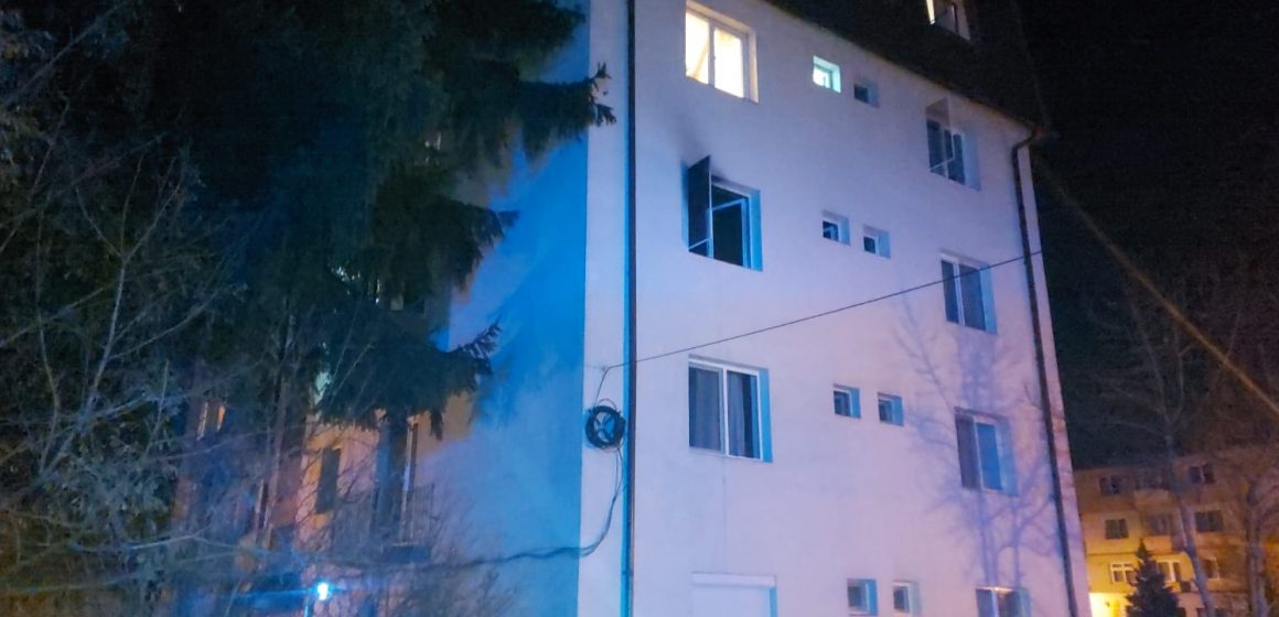 Galerie foto - Poza #1