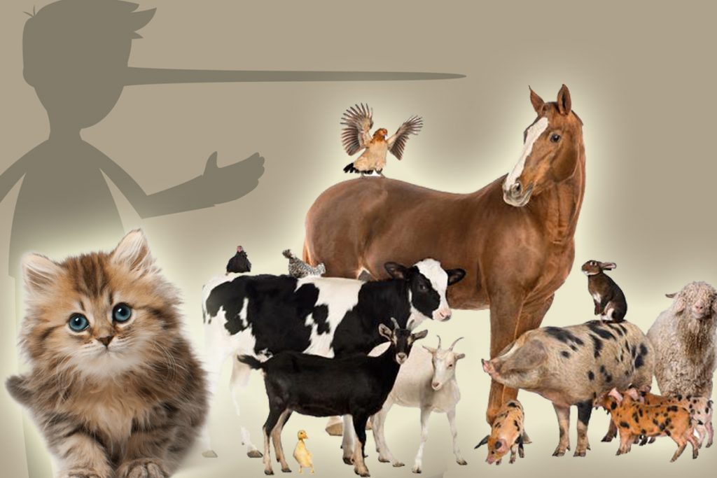 Animalele care știu să mintă. Descoperirea uimitoare a oamenilor de știință