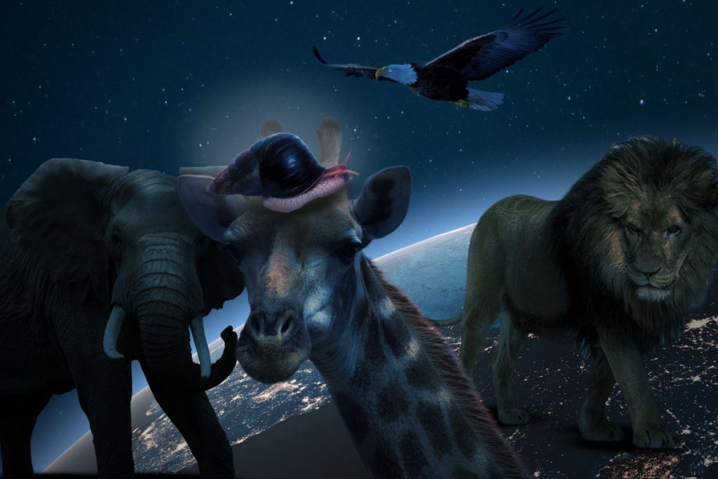 Animalele de pe Pământ care pot supraviețui în spațiu. Au o singură slăbiciune: melcii