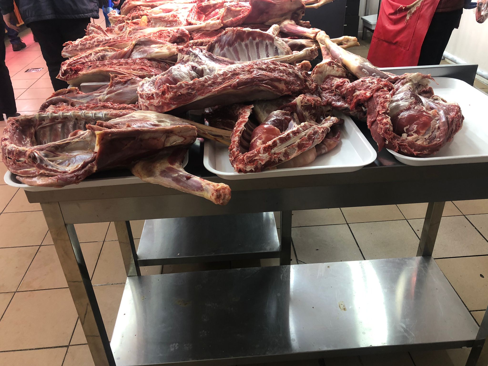 Galerie foto - Poza #1