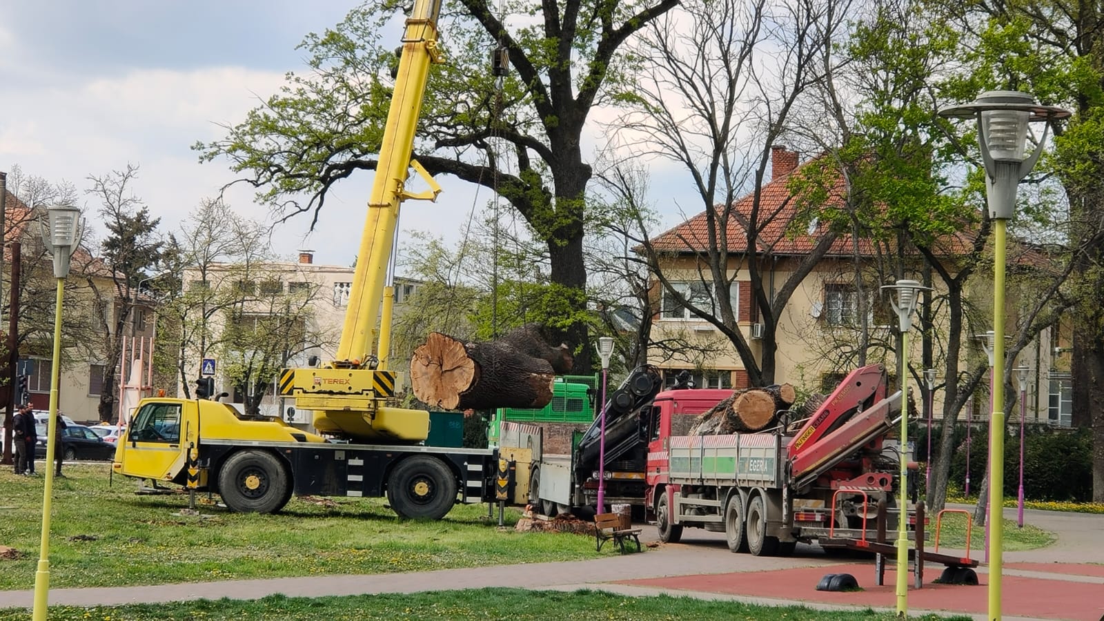 Galerie foto - Poza #1