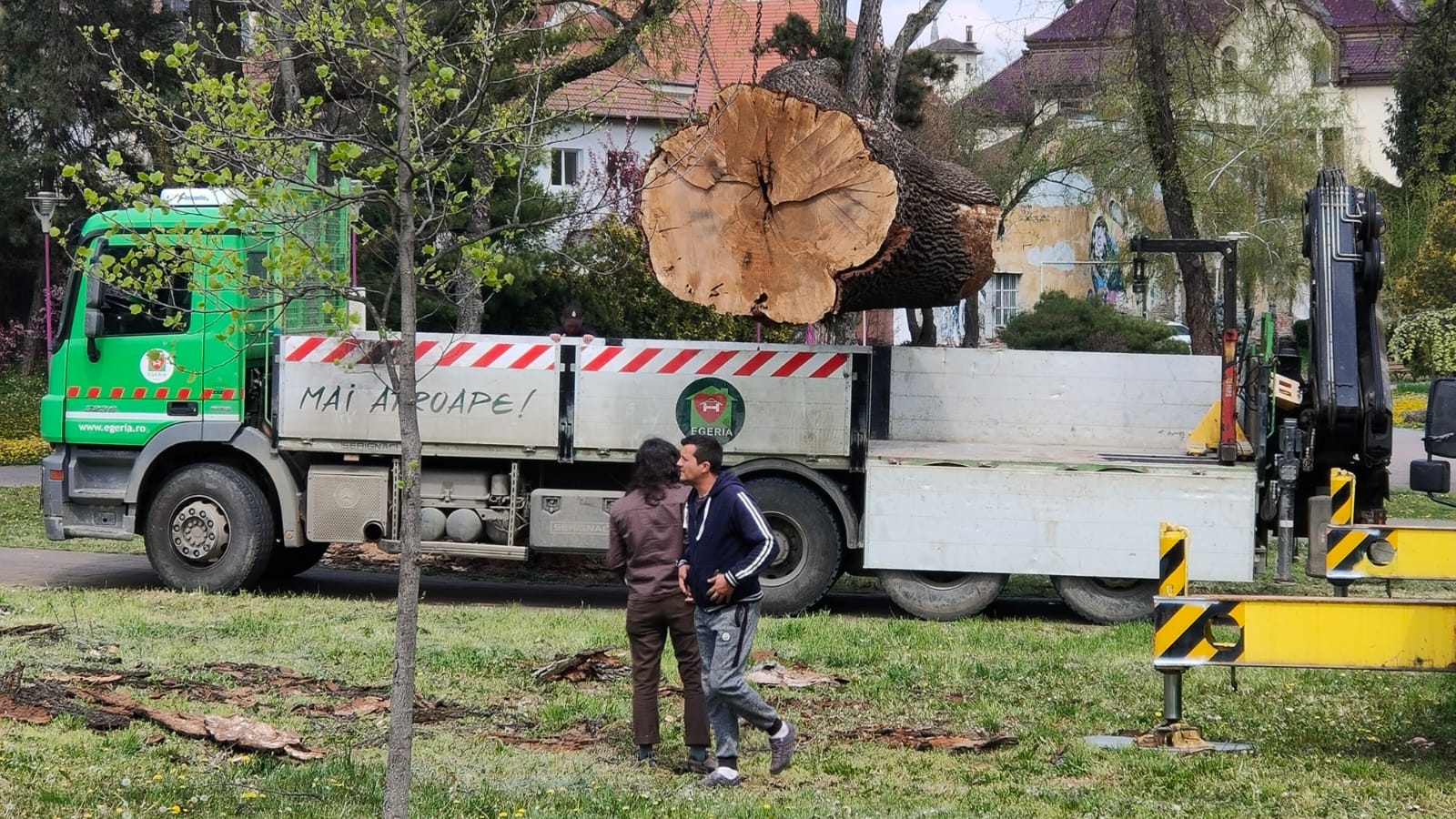 Galerie foto - Poza #2