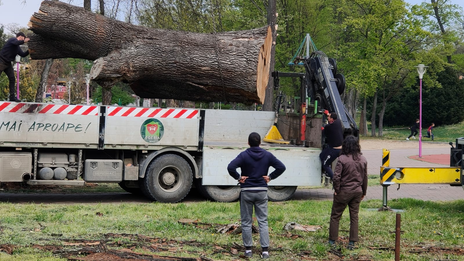 Galerie foto - Poza #3