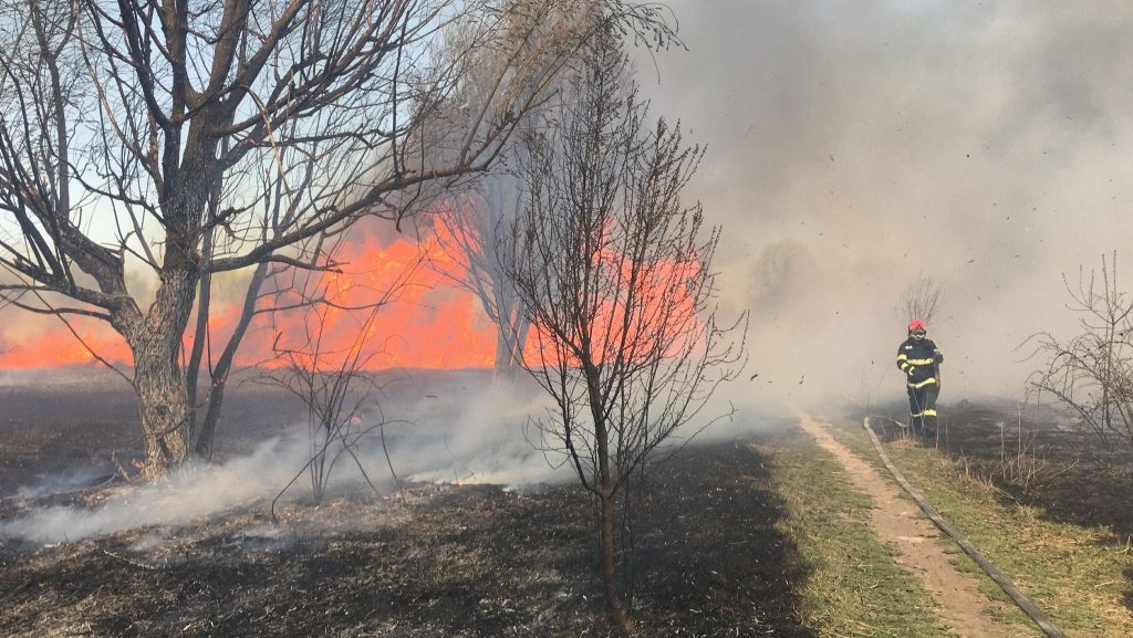 Incendiu în Delta Văcărești. Flăcările au afectat 15.000 de metri pătrați – VIDEO