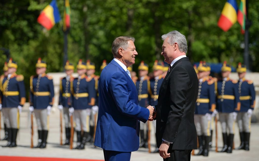 Klaus Iohannis, întâlnire cu președintele Republicii Lituania. Ce discuții au purtat