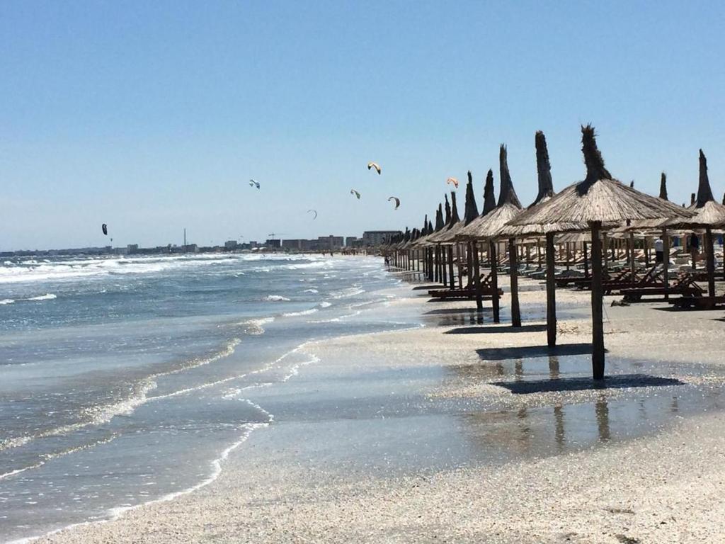 Galerie foto - Poza #2