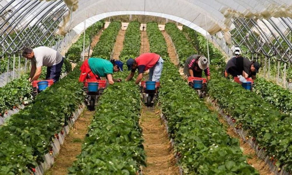 Marea Britanie oferă 45.000 de locuri de muncă. Sunt disponibile și românilor. Ce salarii se dau