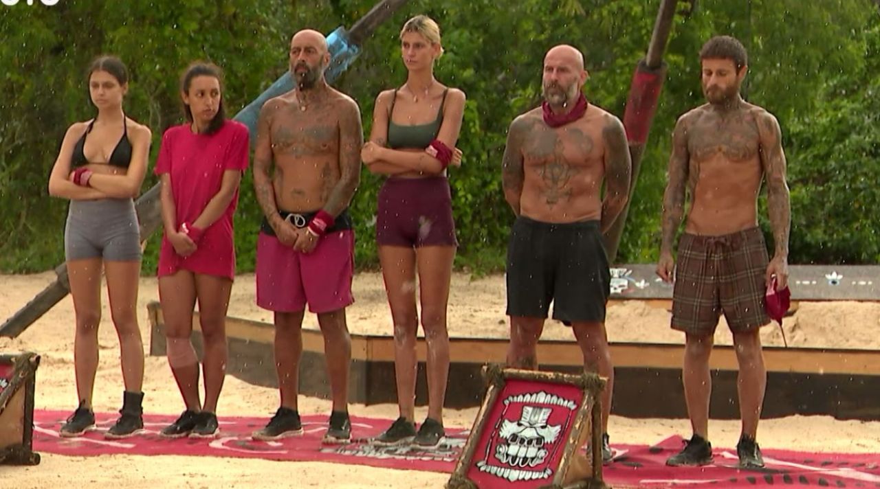 Galerie foto - Poza #1