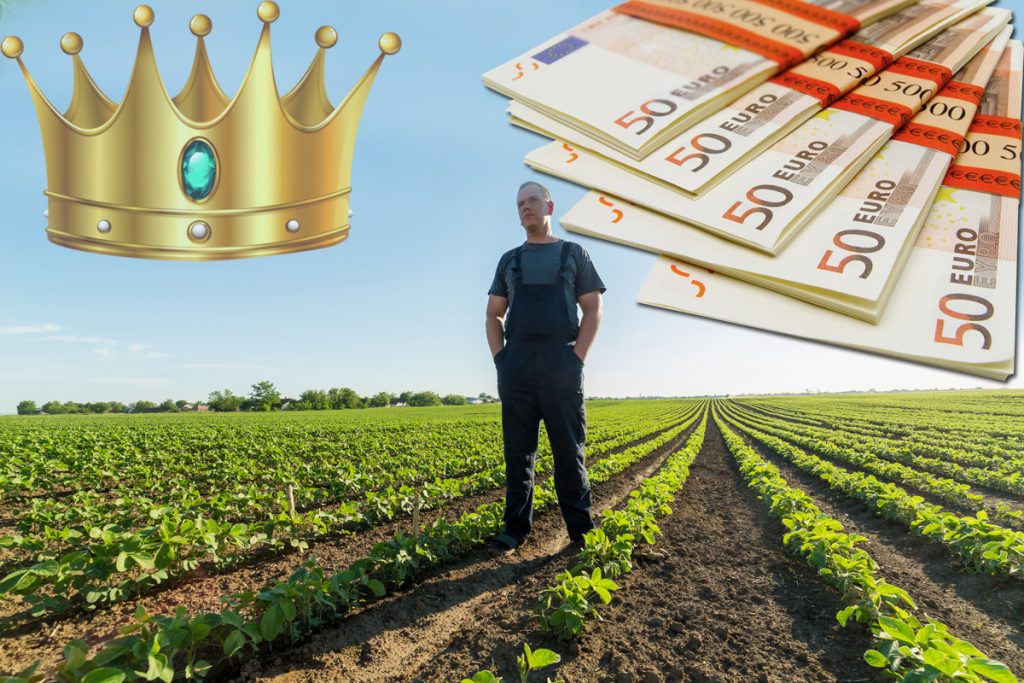 Leguma regilor, alimentul care l-a îmbogățit pe un român din Germania. S-a întors în țară și a dat lovitura cu el