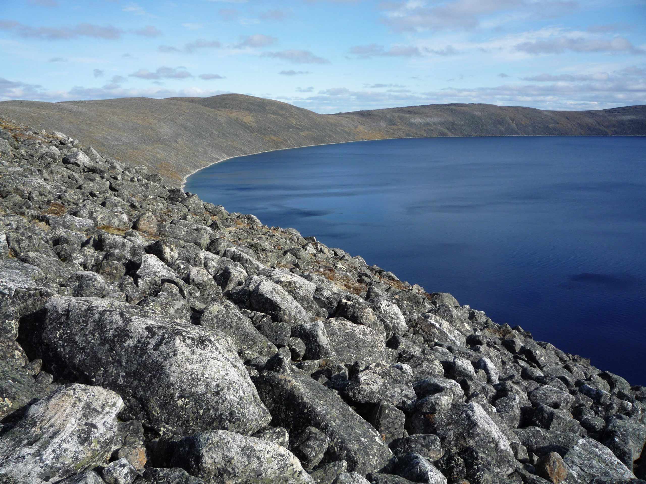 Galerie foto - Poza #2