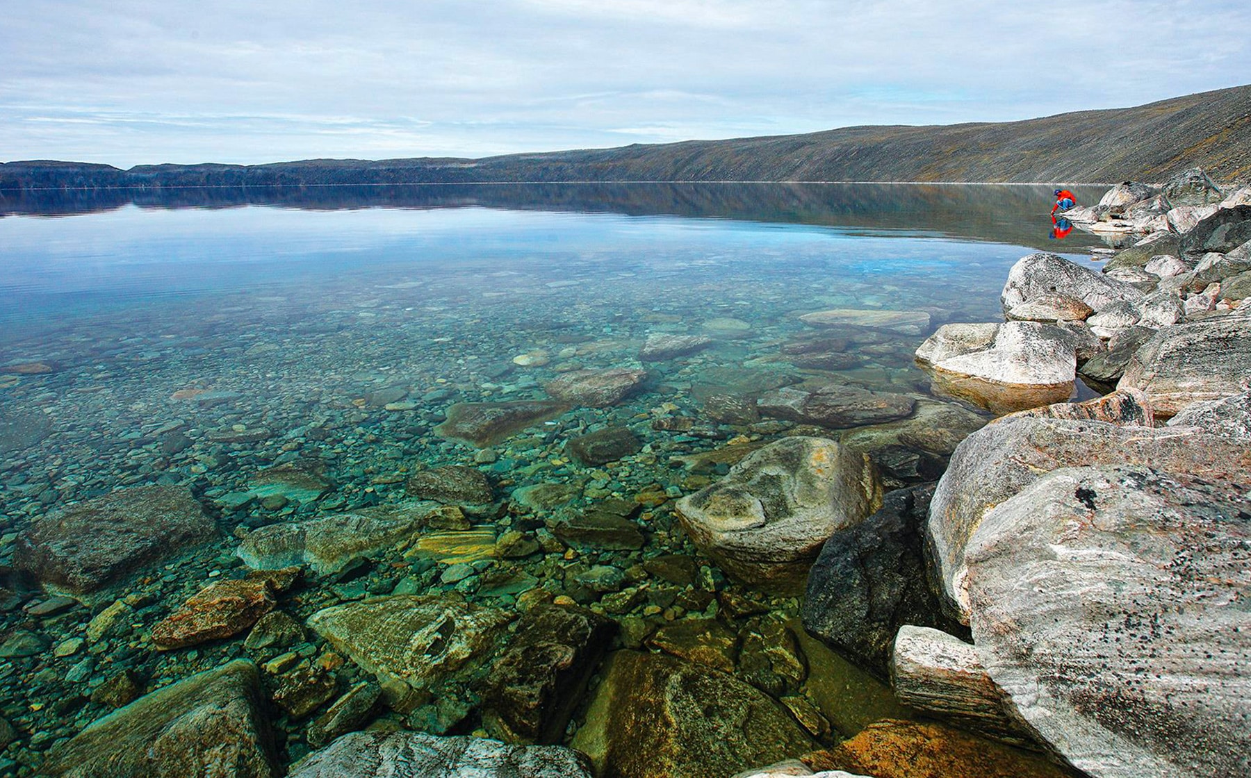 Galerie foto - Poza #1