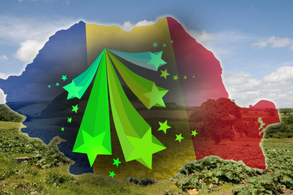 O comună din Transilvania a ajuns celebră în toată Europa. Motivul e legat de o plantă locală