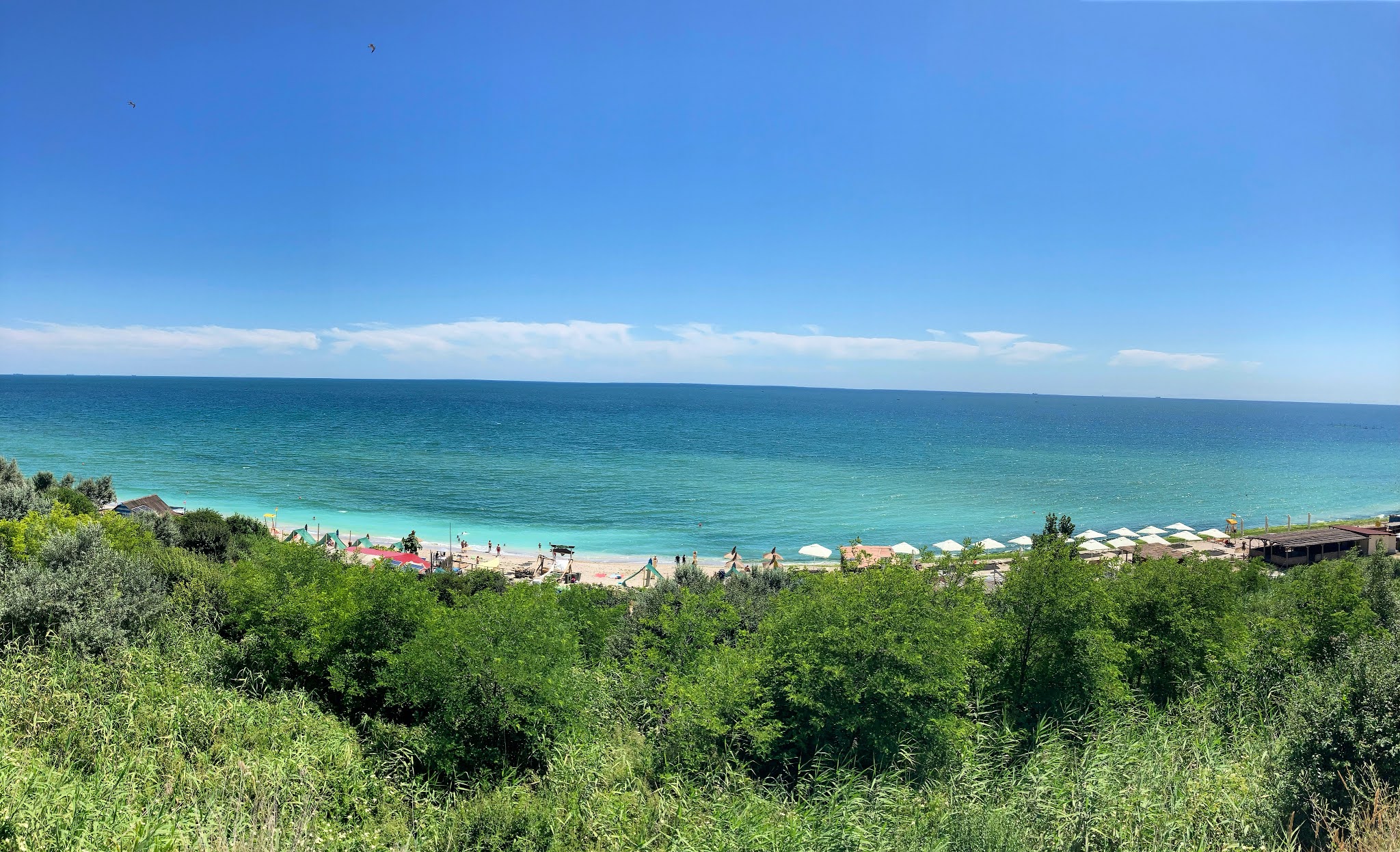 Galerie foto - Poza #2