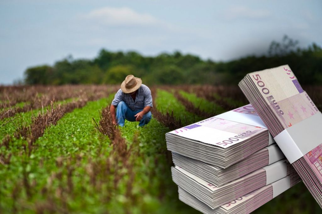 Subvenţii de până la 120.000 de euro pentru agricultorii români. Ce pot face cu această sumă